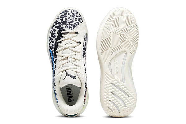 Puma All-Pro Nitro Clyde's Closet ATO Basketball Merchants