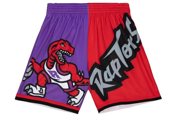 Toronto Raptors Big Face 5.0 Mesh Shorts